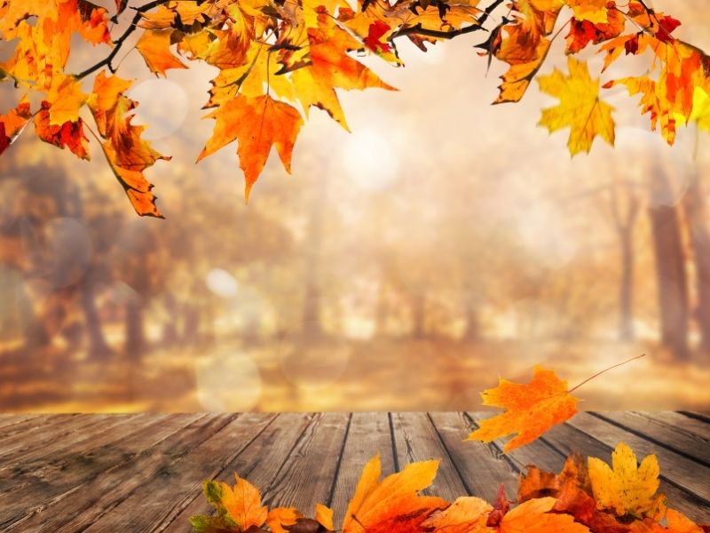 Jak zadbać o dobry nastrój jesienią?